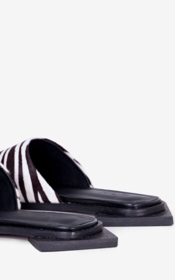 zebra2
