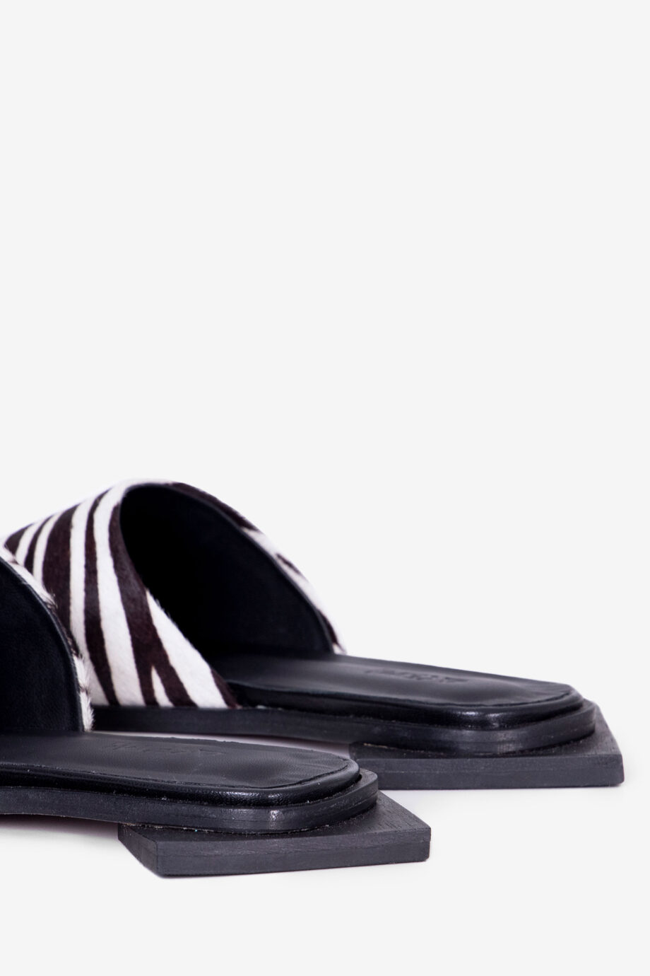 zebra2