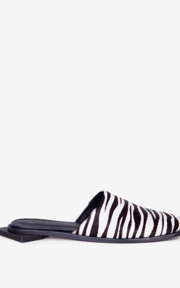 zebra3