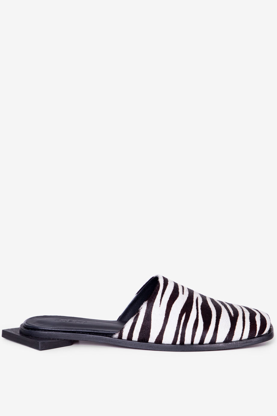 zebra3