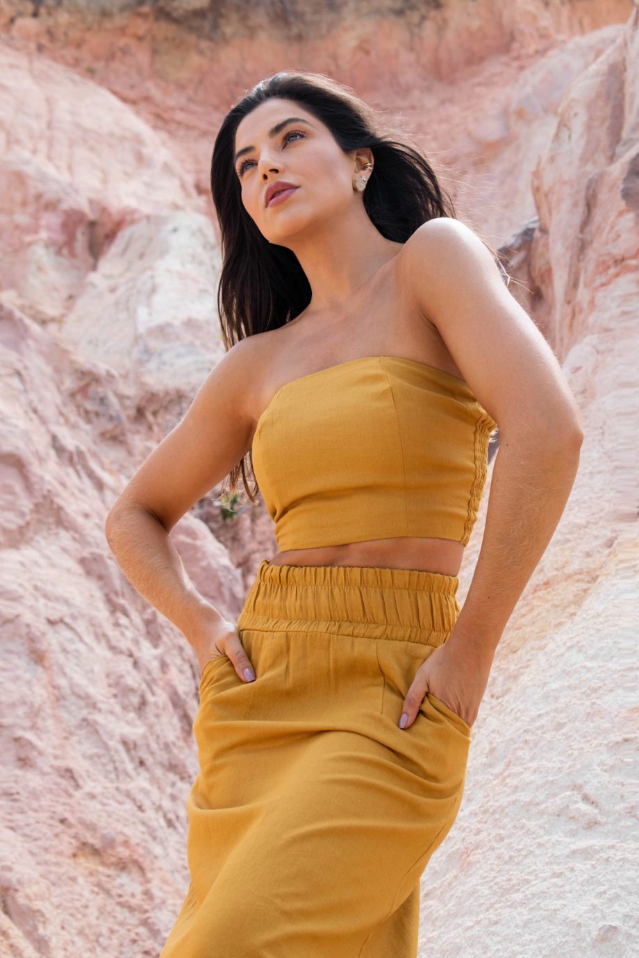 Topoxeamarelo1