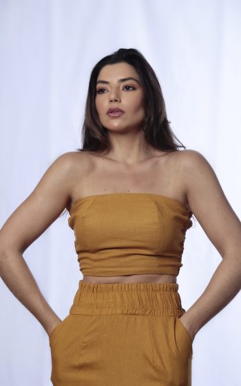 Topoxeamarelo2