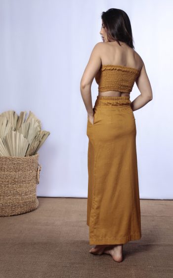 Topoxeamarelo3