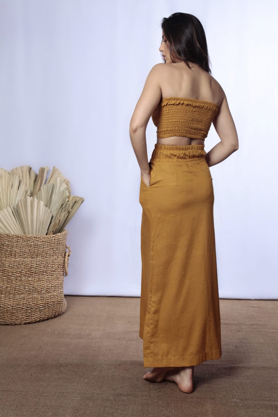 Topoxeamarelo3